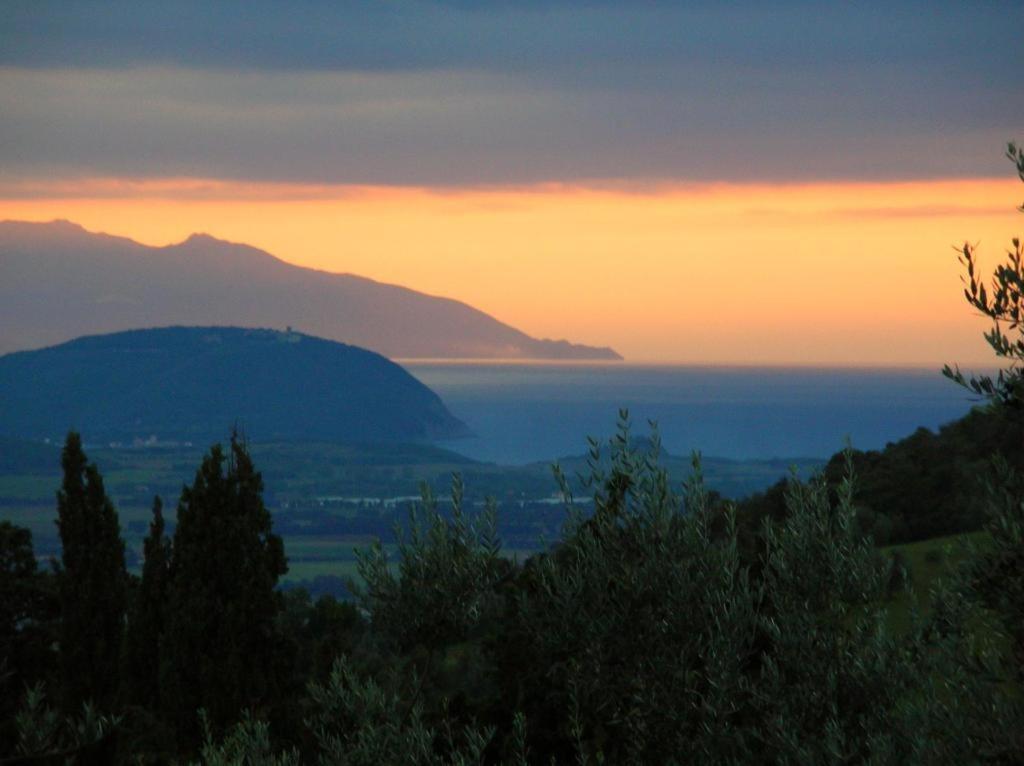 Divacamp Glamping Resort Campiglia Marittima Exterior foto